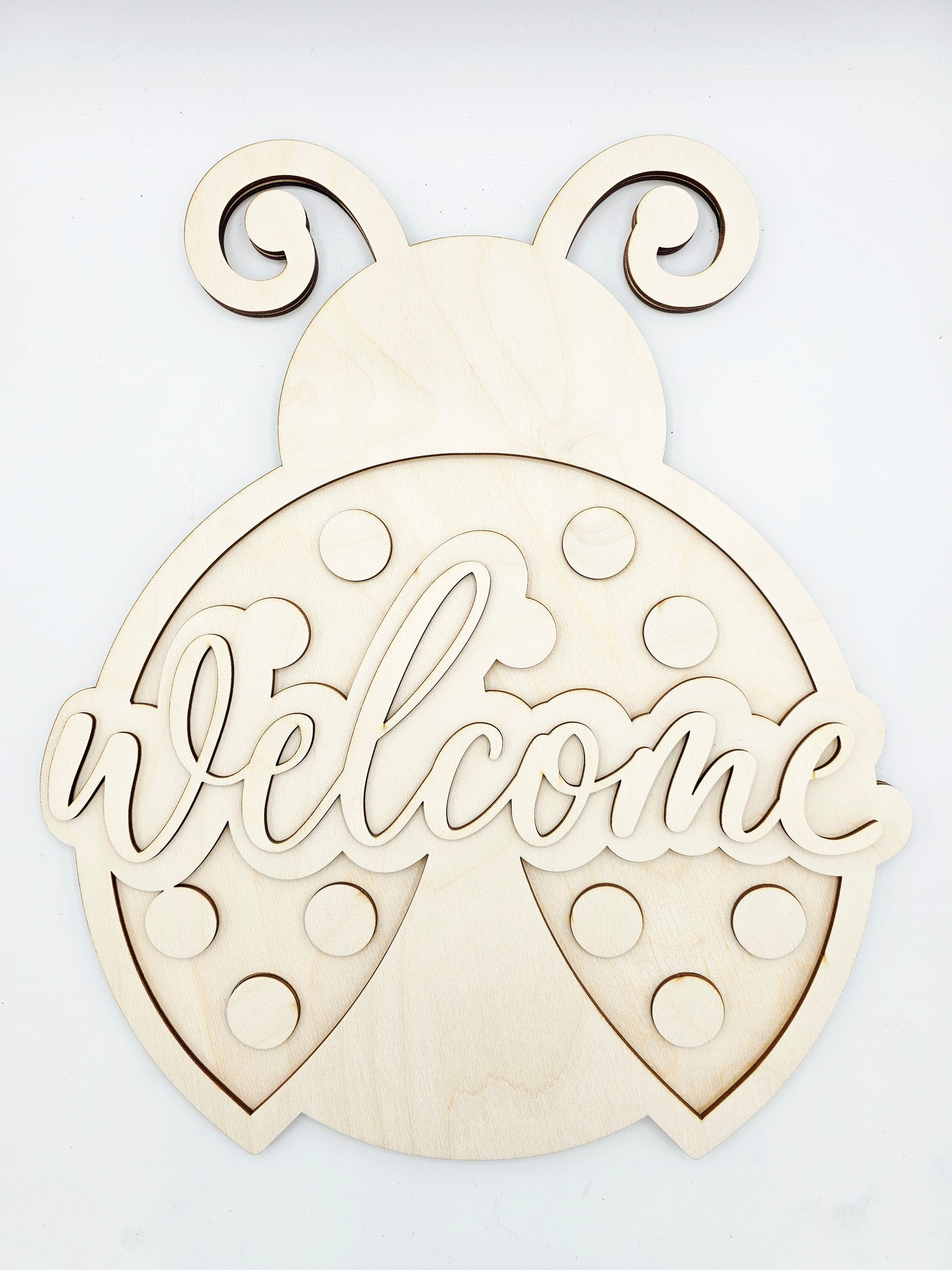 Ladybug Welcome Sign
